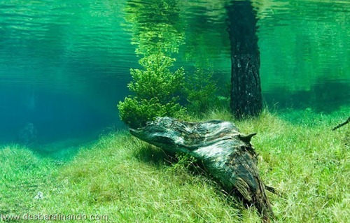 Green Lake parque submerso austria desbaratinando (5)