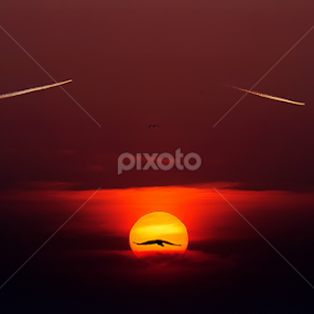 I will be back by XeeShan Ch - Landscapes Sunsets & Sunrises