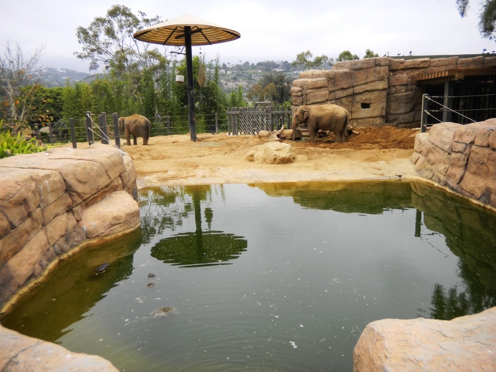 [DSCN5501%2520-%2520Kopie%255B4%255D.jpg]