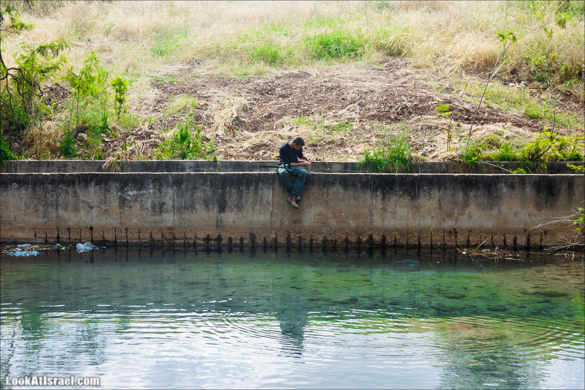 Песах в Долине Родников | Passover in Springs Valley| פסח בעמק המעיינות | LookAtIsrael.com - Фото путешествия по Израилю