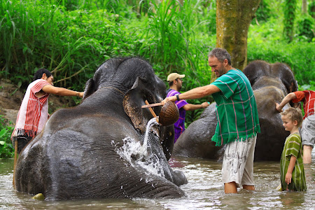 Distractie Thailanda: spalarea in rau a elefantilor