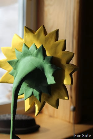 Back of the sunflower