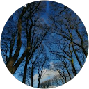 Seryna Lazenby profile picture