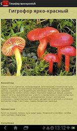 Nastolnaya mushroom book free poster 11