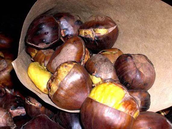 [roasted%2520chestnuts%2520005%2520small%255B2%255D.jpg]