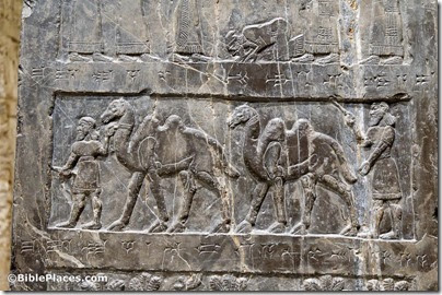 Black Obelisk, Side A, tribute from Musri, camels, tb112004818 Black Obelisk, Side A, tribute from Musri, camels, tb112004818