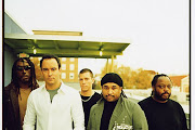 Dave Matthews Band