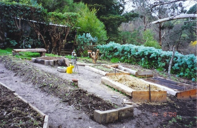 [herbgarden4.jpg]