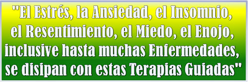 Descargar TERAPIAS GUIADAS