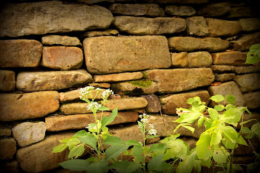 Ozark stone wall