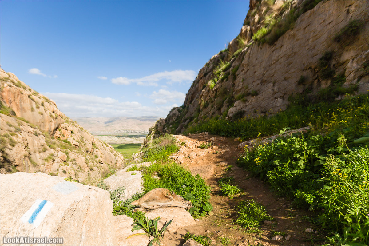 LookAtIsrael.com - Ручей (нахаль) Талкид | Nahal Talkid | נחל תלקיד