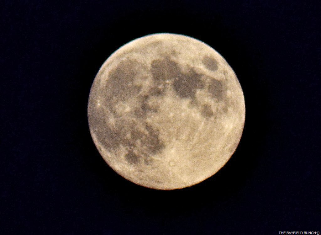 [DSC_0007-005%255B4%255D.jpg]