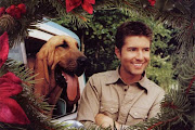 Josh Turner