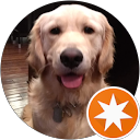 Dan Auslander profile picture