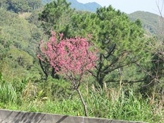 IMG_7503