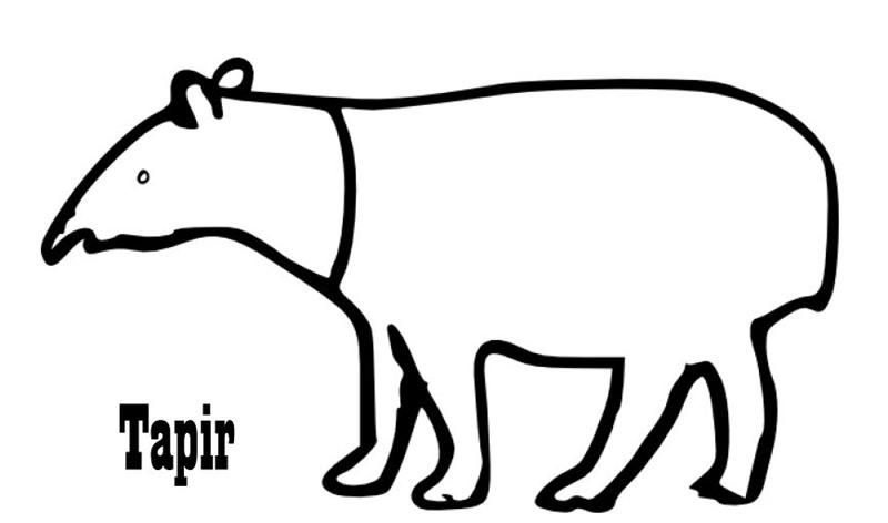 [tapir%2520colorear%25201%255B3%255D.jpg]