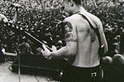 Flea