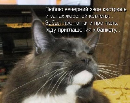 [29c1af92bd9b889ffc0e74bed62_prev%255B4%255D.jpg]