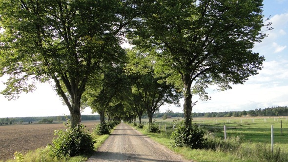 Estrada em Västerås