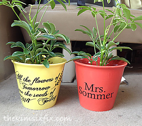 Potted plant teacher gift