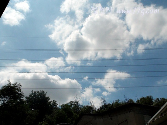 [DSC06702-20120627-1345593.jpg]