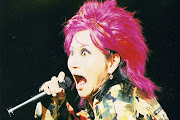 Hide