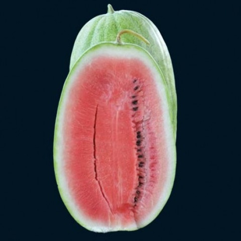 [WatermelonAliBaba3.jpg]