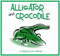 AlligatorCrocodile Box