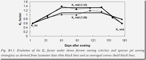 Evolution of the Kc factor under dense furrow sowing and sparse pit sowing as derived from lysimeter.