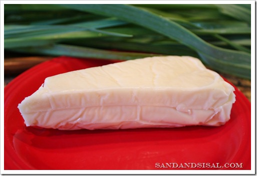 fontina cheese (1024x683)