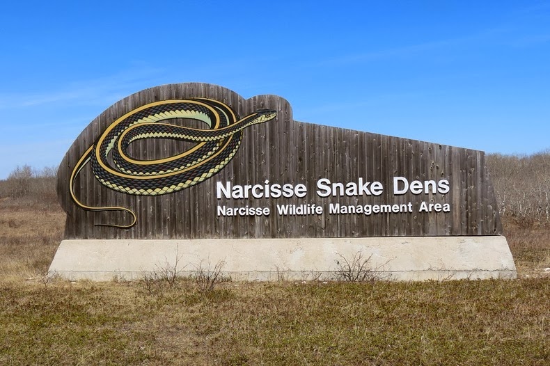 narcisse snake pits 2%25255B2%25255D