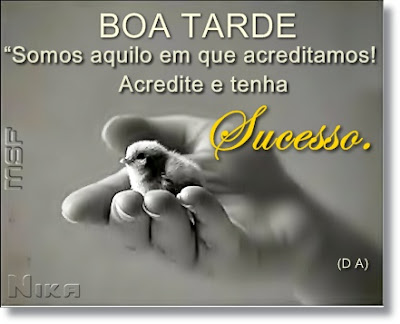 Imagem1zzzzzzzzzzz.jpg