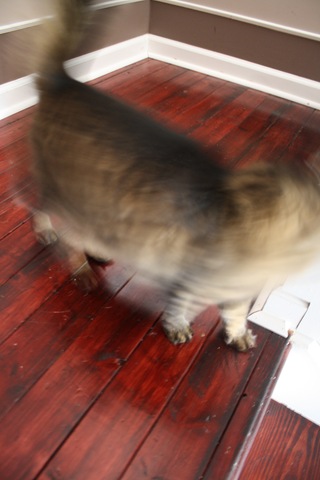 [IMG_0432%255B3%255D.jpg]