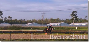 Bettys Part 6 and Delta Downs 071