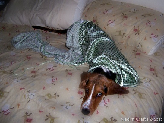 [wearing-pajamas2.jpg]
