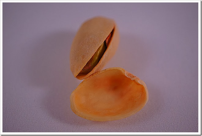 pistachios-free-pictures-1 (1370)