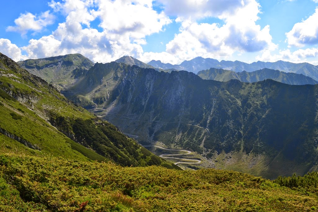 [DSC_22153.jpg]