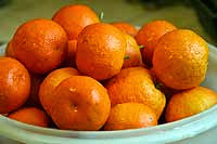 orange-marmalade-1.jpg