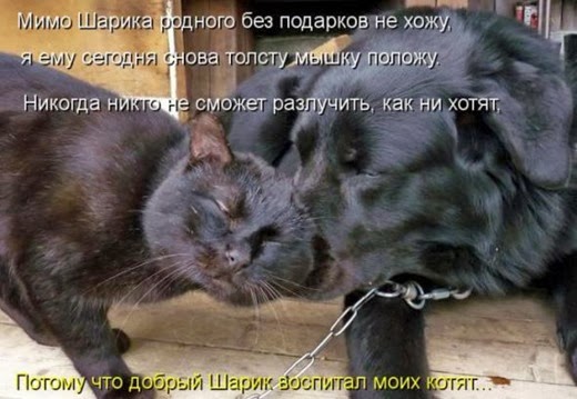 [7d4a77efea6e0201bc8e857c1b1_prev%255B5%255D.jpg]