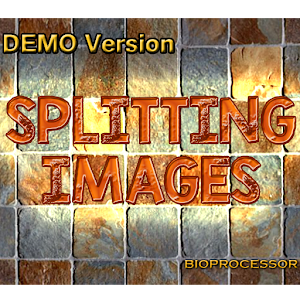 Splitting Images Demo 1.13