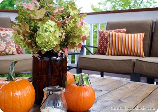 pee gee hydrangea fall pee gee hydrangea fall