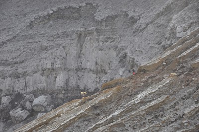 DSC_0832.JPG
