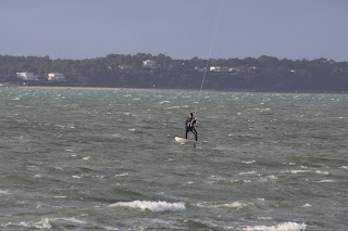 IMG_4545.JPG