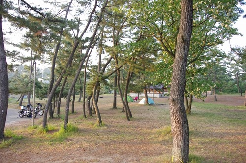 [130522015.jpg]