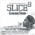 Slice 9