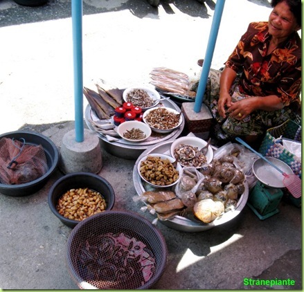 thailandia venditrice di insetti tartarughe serpenti commestibili