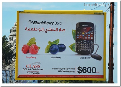 blackberry (3)