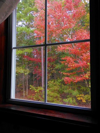 fall window