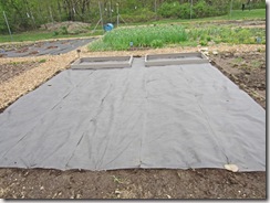 Plot with landscape fabric