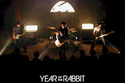 Year Of The Rabbit